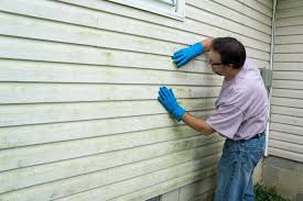 Best Custom Trim and Detailing for Siding  in Scappoose, OR